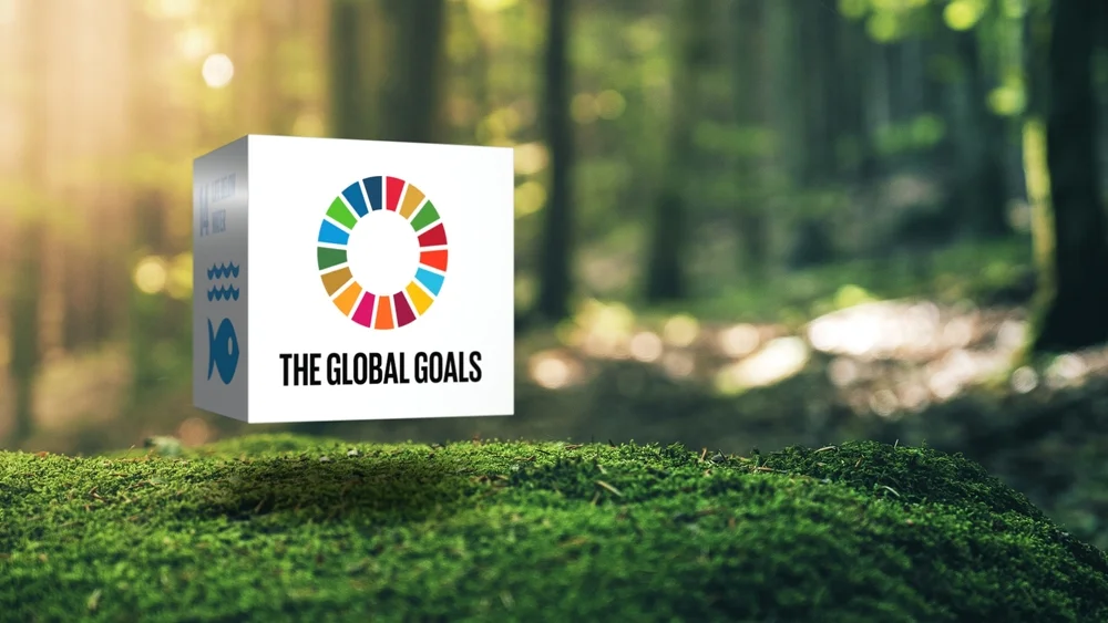 Mental Health for a Sustainable Future: How WISH Aligns with Global Goals